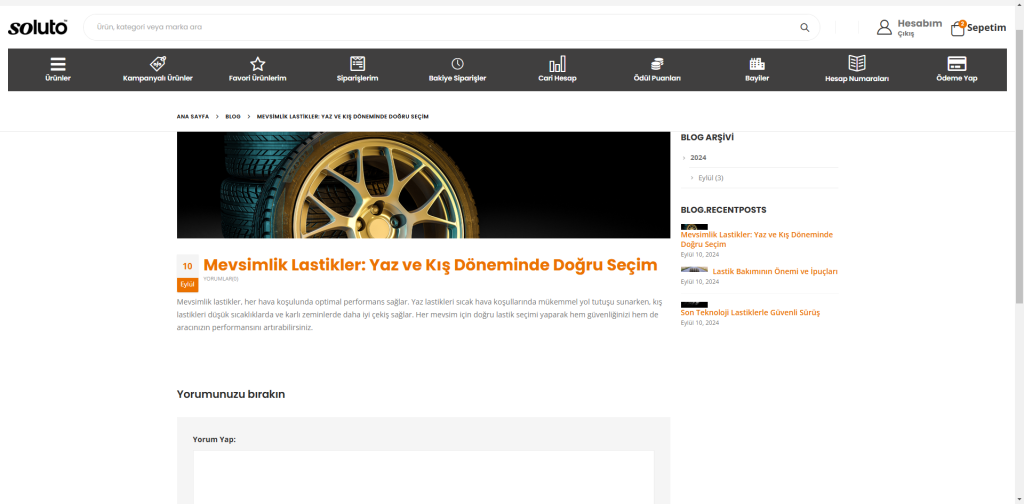 screenshot lastik soluto com tr 2024 12 20 17 17 45