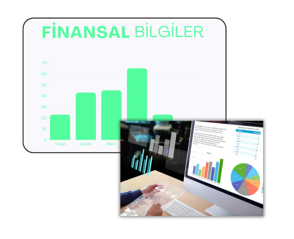 musteri finansal gecmisi